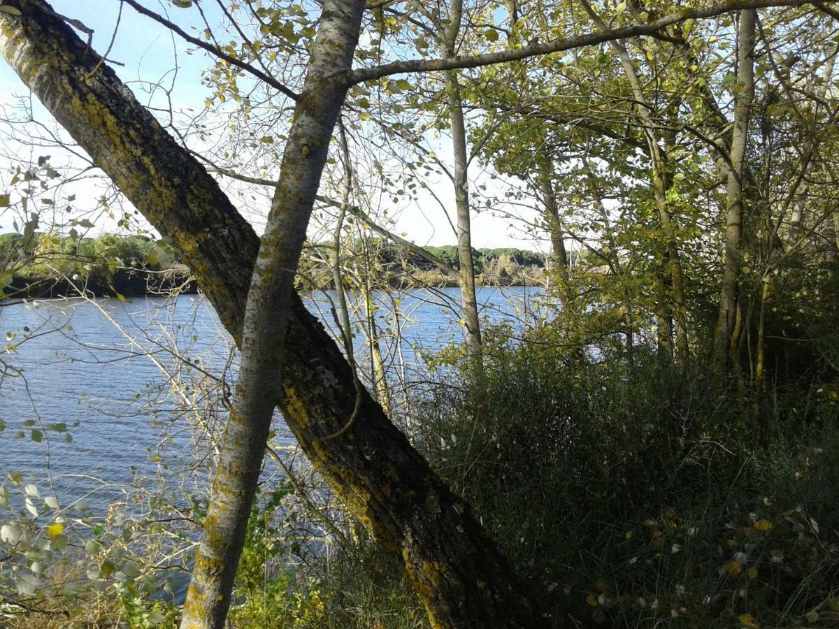 Pinar De Las Cabanuelas Villanueva de Duero ภายนอก รูปภาพ