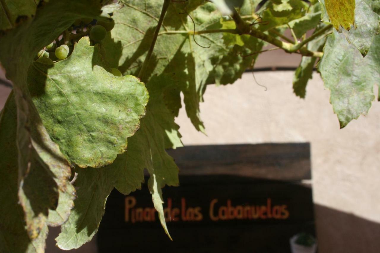 Pinar De Las Cabanuelas Villanueva de Duero ภายนอก รูปภาพ
