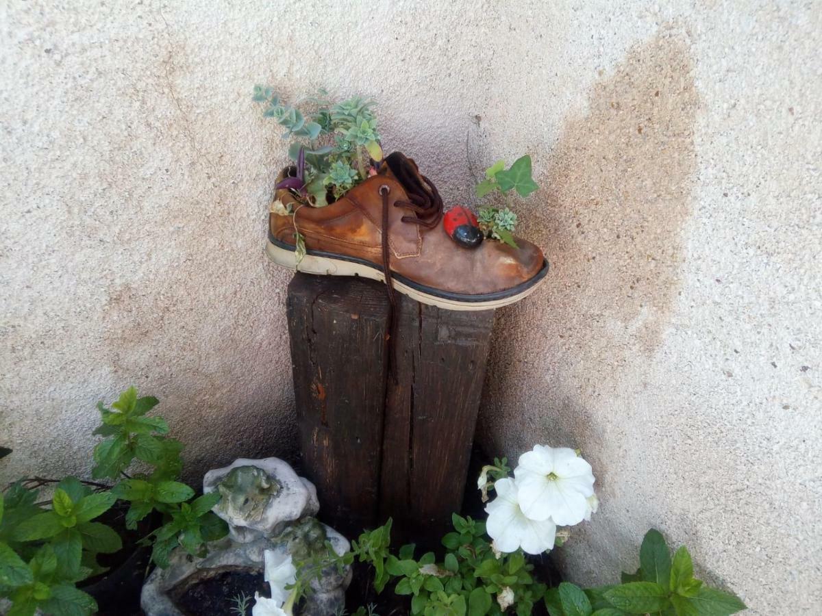 Pinar De Las Cabanuelas Villanueva de Duero ภายนอก รูปภาพ